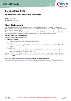 XMC1100-AB datasheet cover page