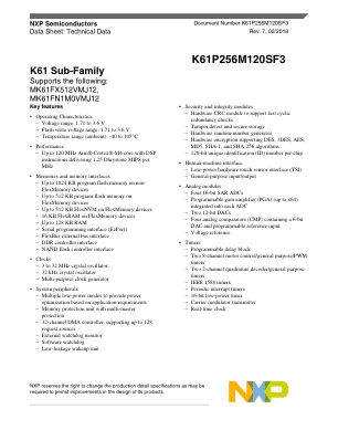 K61P256M120SF3 数据手册首页
