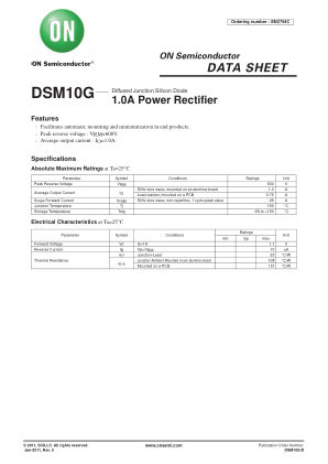 DSM10G 数据手册首页