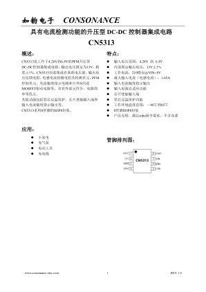 CN5313 数据手册首页