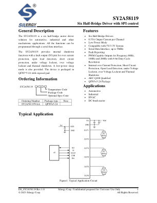 SY2A58119VAA datasheet cover page