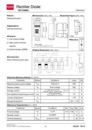 RR1VWM6S 数据手册首页