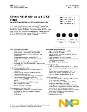 KE1XFP100M168SF0 datasheet cover page