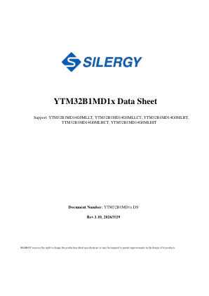 YTM32B1MD14G0MLHCT 数据手册首页