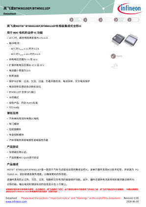 BTM901XEP 数据手册首页