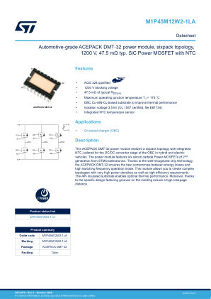 M1P45M12W2-1LA datasheet cover page