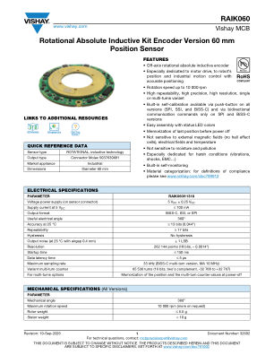 RAIK060 datasheet cover page