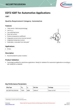 IGC130T75E12D2CKA datasheet cover page