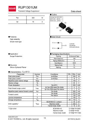 RUP1301UM 数据手册首页