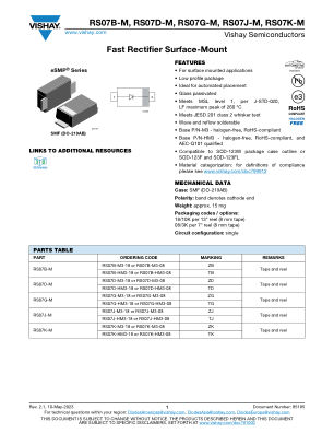 RS07BM datasheet cover page