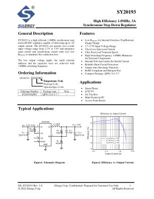 SY20193QWC datasheet cover page