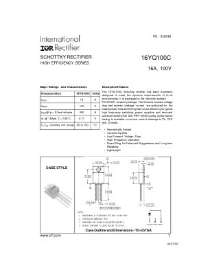 16YQ100C 数据手册首页