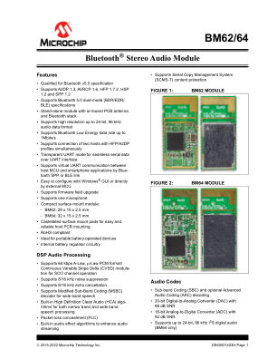 BM64SPKS1MC1-0003AA 数据手册首页