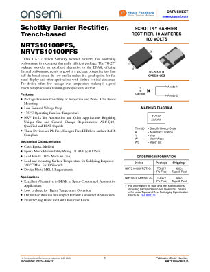 NRTS10100PFS 数据手册首页