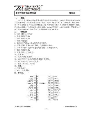 TM2313-SSOP28 数据手册首页