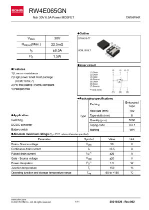 RW4E065GN datasheet cover page