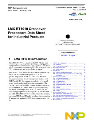 IMXRT1010IEC 数据手册首页