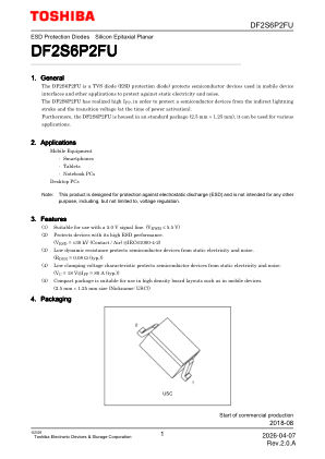 DF2S6P2FU 数据手册首页