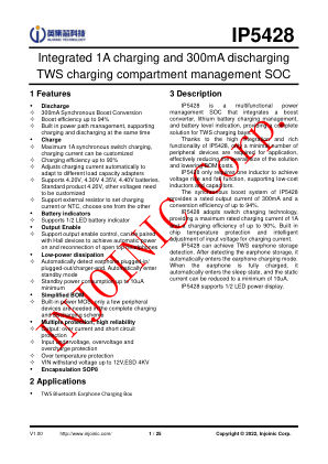 IP5428 datasheet cover page