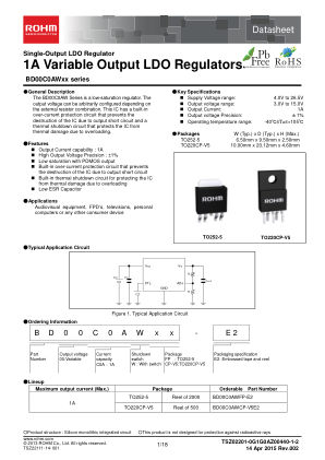 BD00C0AWFP 数据手册首页