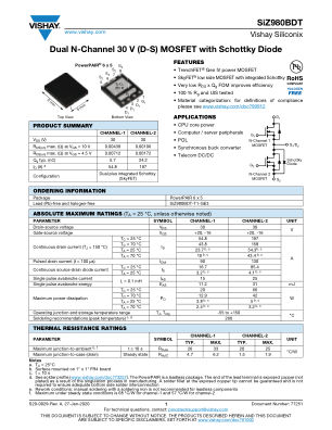 SIZ980BDT 数据手册首页