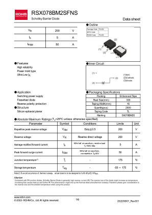 RSX078BM2SFNS 数据手册首页