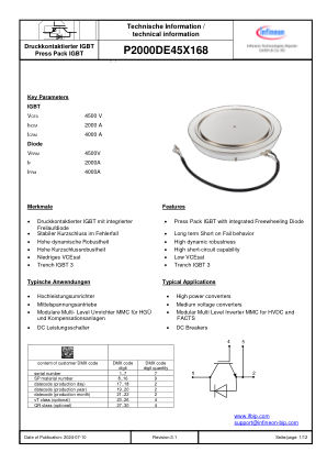 P2000DE45X168 datasheet cover page