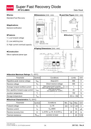 RF101LAM4S datasheet cover page