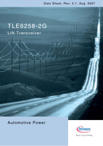 TLE6258-2G 数据手册首页