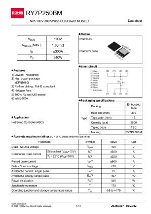 RY7P250BM 数据手册首页