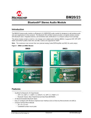 BM20SPKS1NBC-0001AA 数据手册首页
