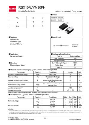 RSX10AVYM30FH 数据手册首页