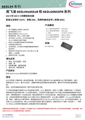 6EDL04I065NR 数据手册首页