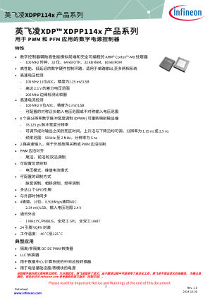 XDPP1140-100B 数据手册首页