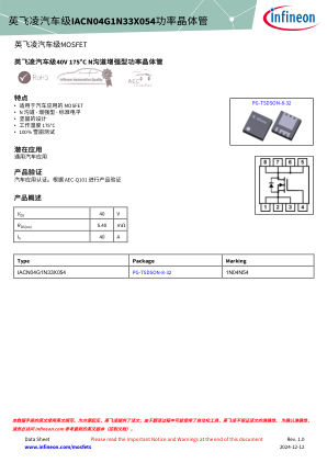 IACN04G1N33X054 数据手册首页