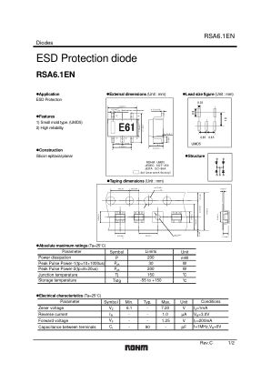 RSA6.1EN 数据手册首页