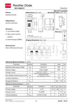 RR1VWM6STF 数据手册首页