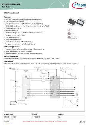 BTS81000-SSGI-6ET datasheet cover page