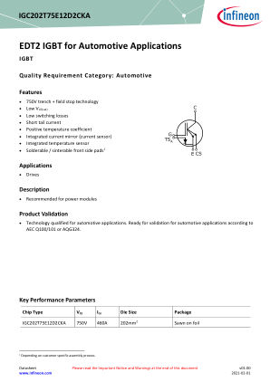 IGC202T75E12D2CKA datasheet cover page