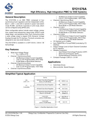 SY21576AVTS datasheet cover page